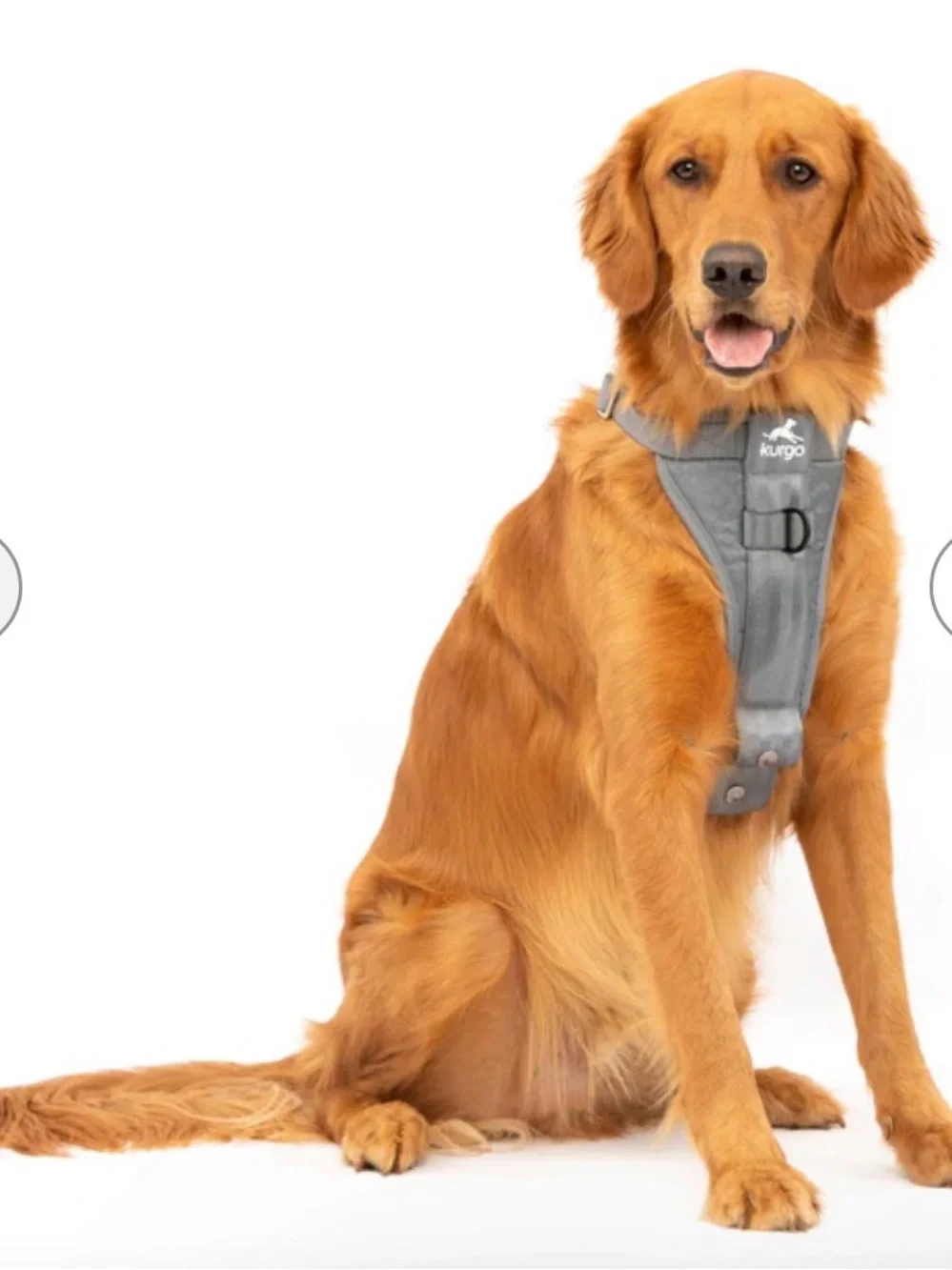Kurgo Black Large True Fit Enhanced Strength Car/No Pull Harness For Dogs